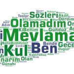 Ben Mevlama kul olamadım Sözleri İlahi